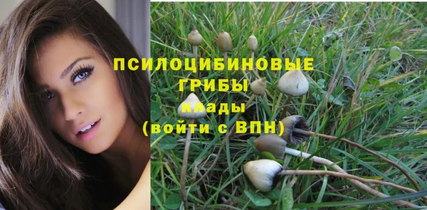 ПСИЛОЦИБИНОВЫЕ ГРИБЫ Абаза