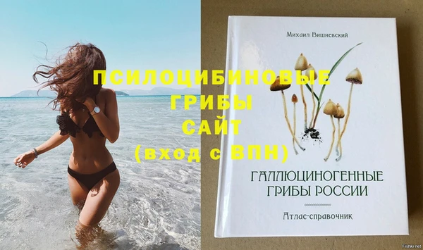 стафф Абдулино