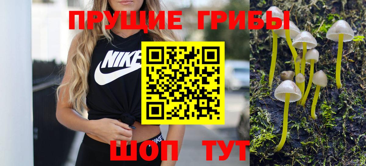 Добрянка  как найти закладки  Вход с VPN  Псилоцибиновые грибы ЛСД 